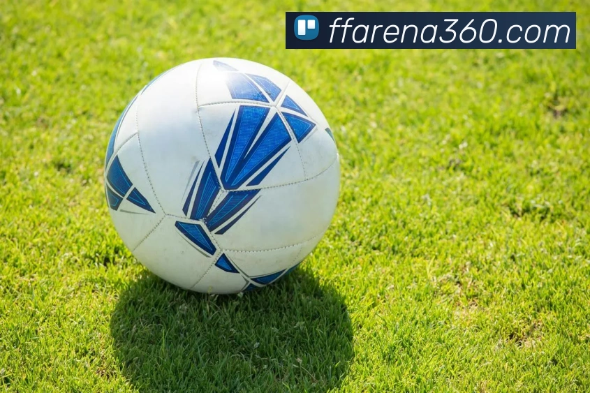 非凡体育平台生态图